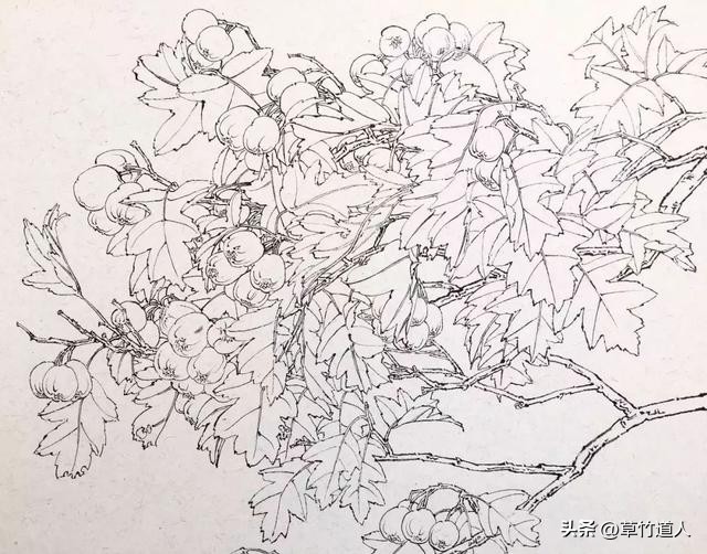 绘画艺术形象及其审美意义,中国绘画的审美特点4字