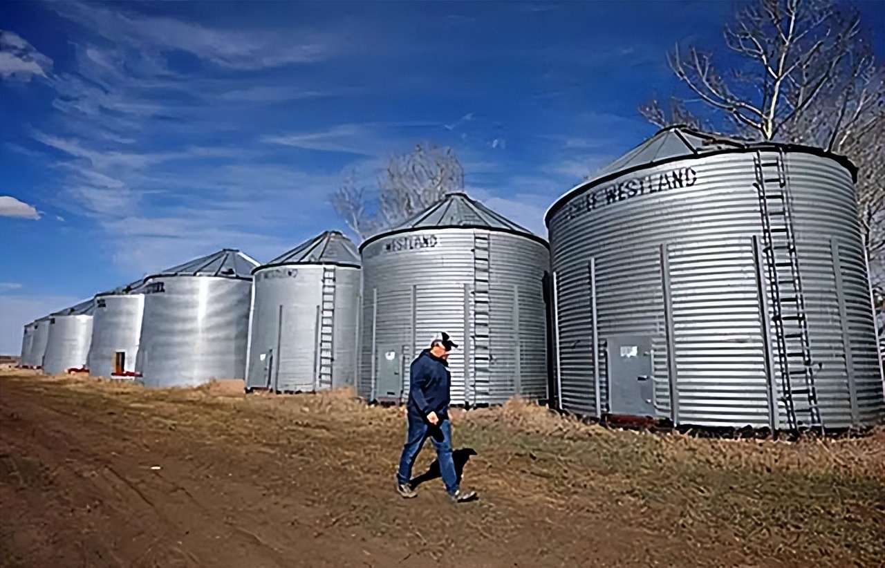 19年加拿大巨轮被堵厦门外海，损失十多亿美元，加总理尝到了苦果