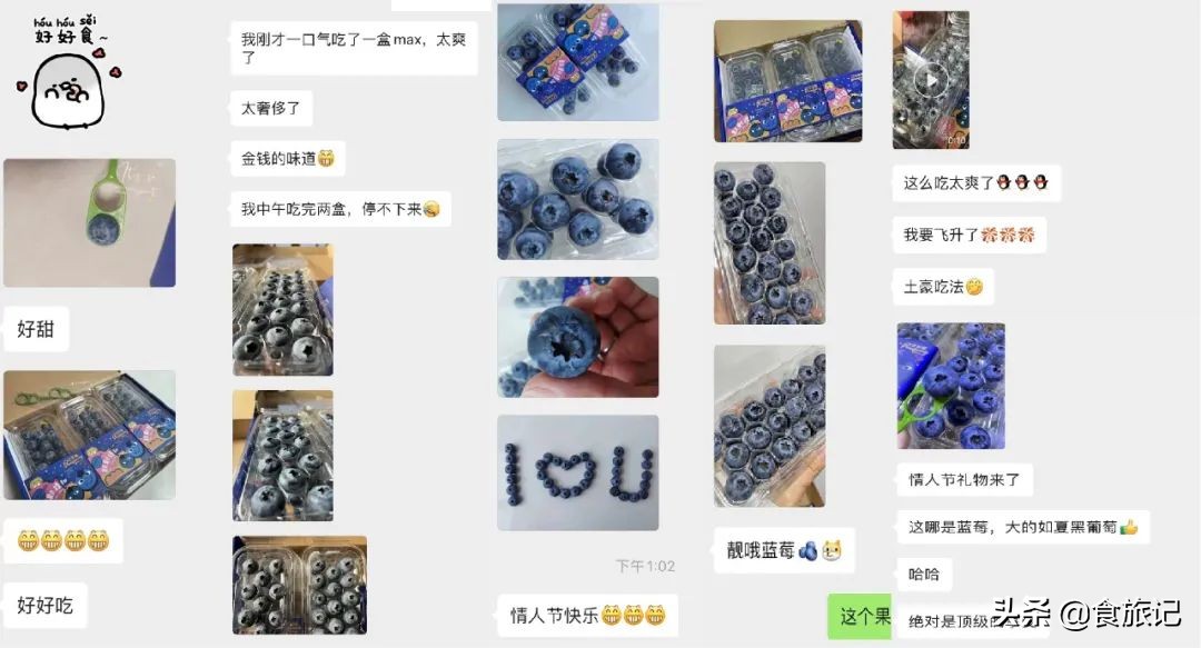 对不起蓝莓,再也不说你只能当摆盘用了