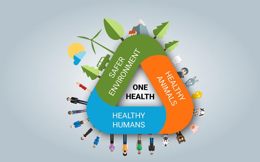 饮食注意健康,2022寒假健康饮食注意事项