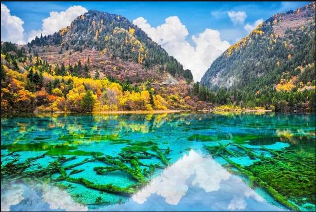 各地旅游景点推荐大全,旅游攻略全国景点大全