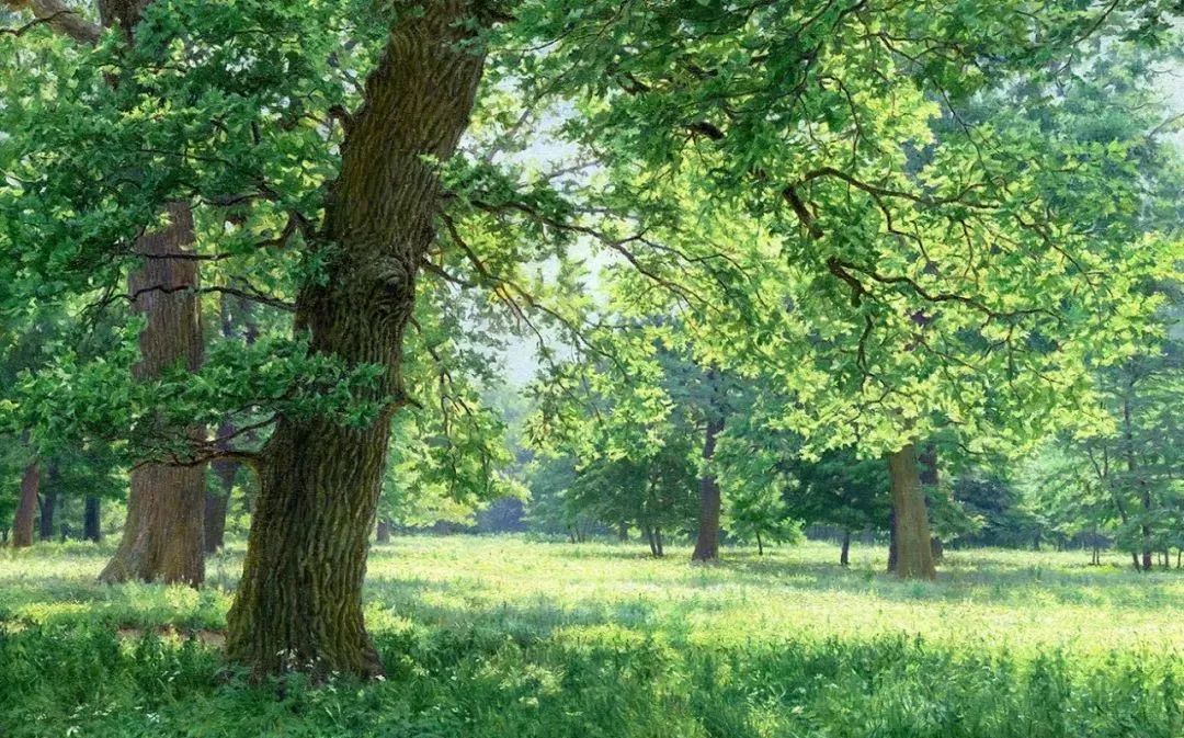 光影很强的油画风景,这油画太美了把光影画到了极致