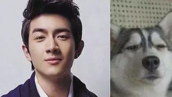 林更新不丑吗,林更新那段你不随我意片段