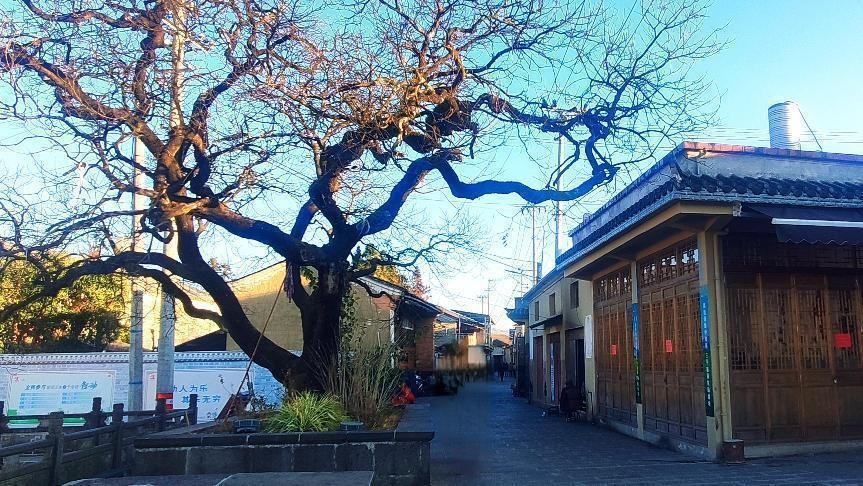 十一月云南旅游攻略腾冲 (从云南腾冲看云南旅游攻略)