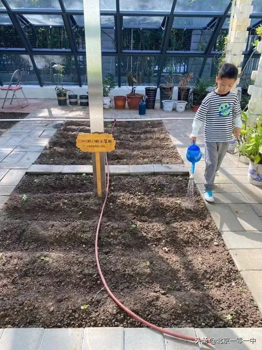 北京市上地实验学校片区,北京市上地实验学校2021