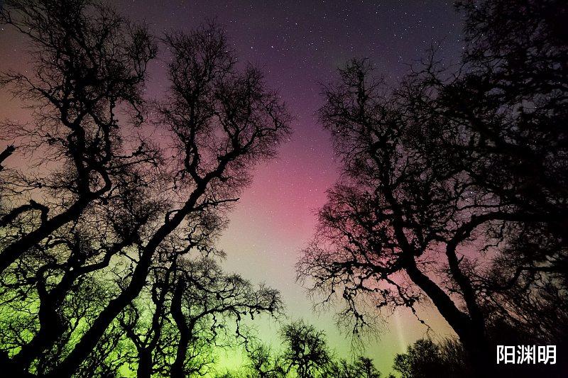 pua是如何达到精神控制的,pua是精神控制吗