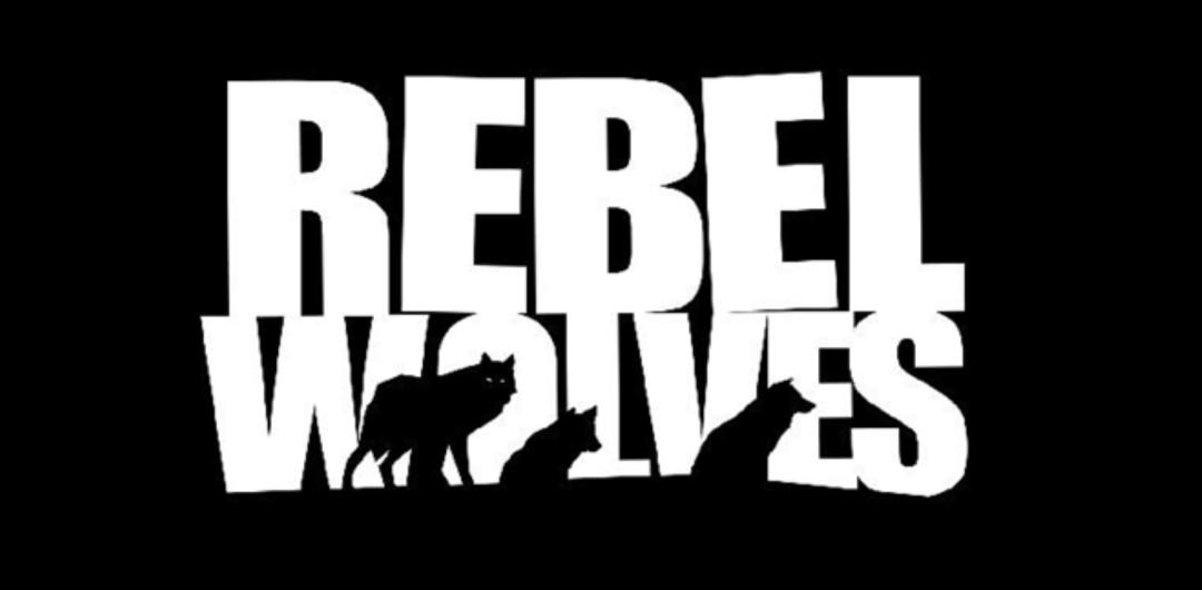 网易的旗下的游戏工作室有哪些,网易游戏旗下工作室