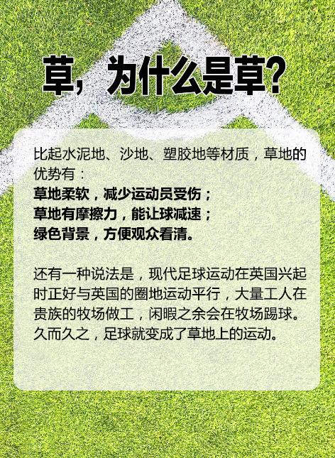 世界杯的草是真草还是假草,世界杯的草地是真的吗