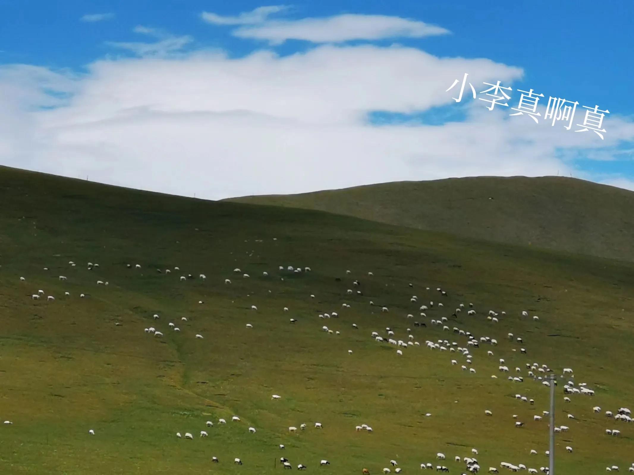 青海跟团游为什么不包餐,什么人不建议去青海旅游