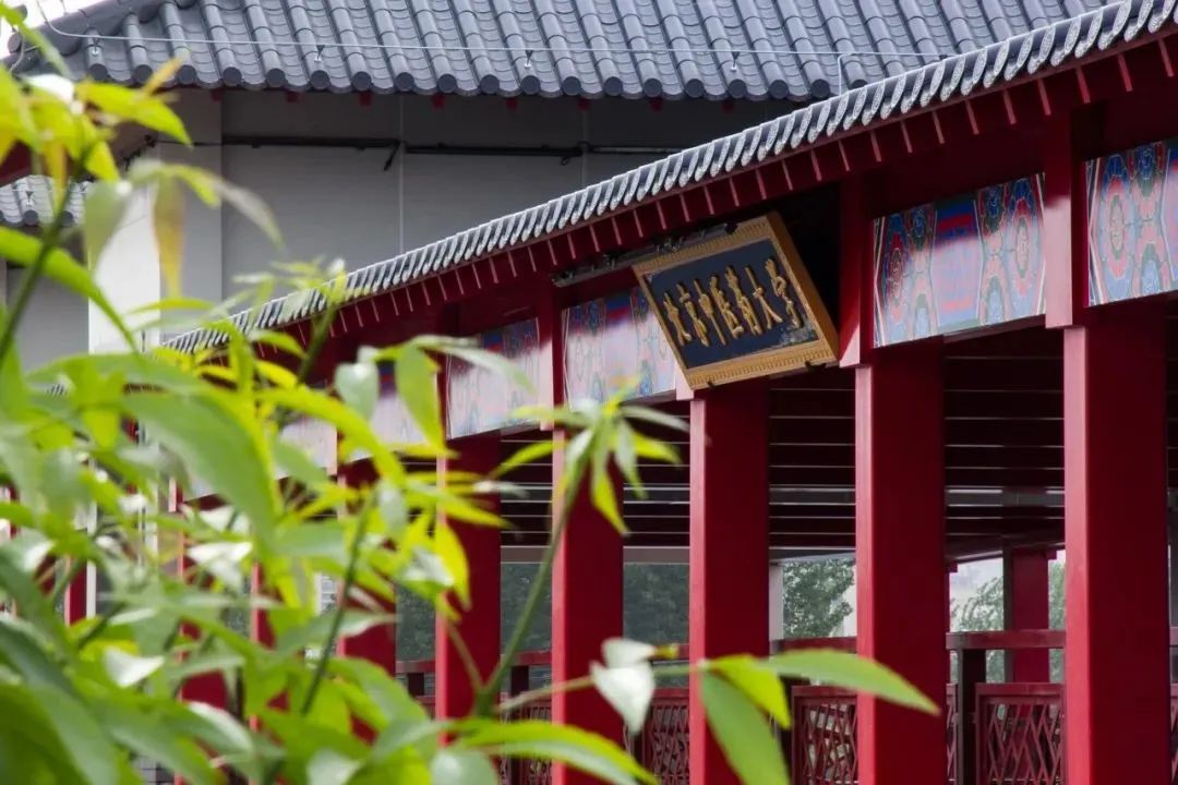 中国排名前十名的医药大学排名,学医药最有前途十大专业