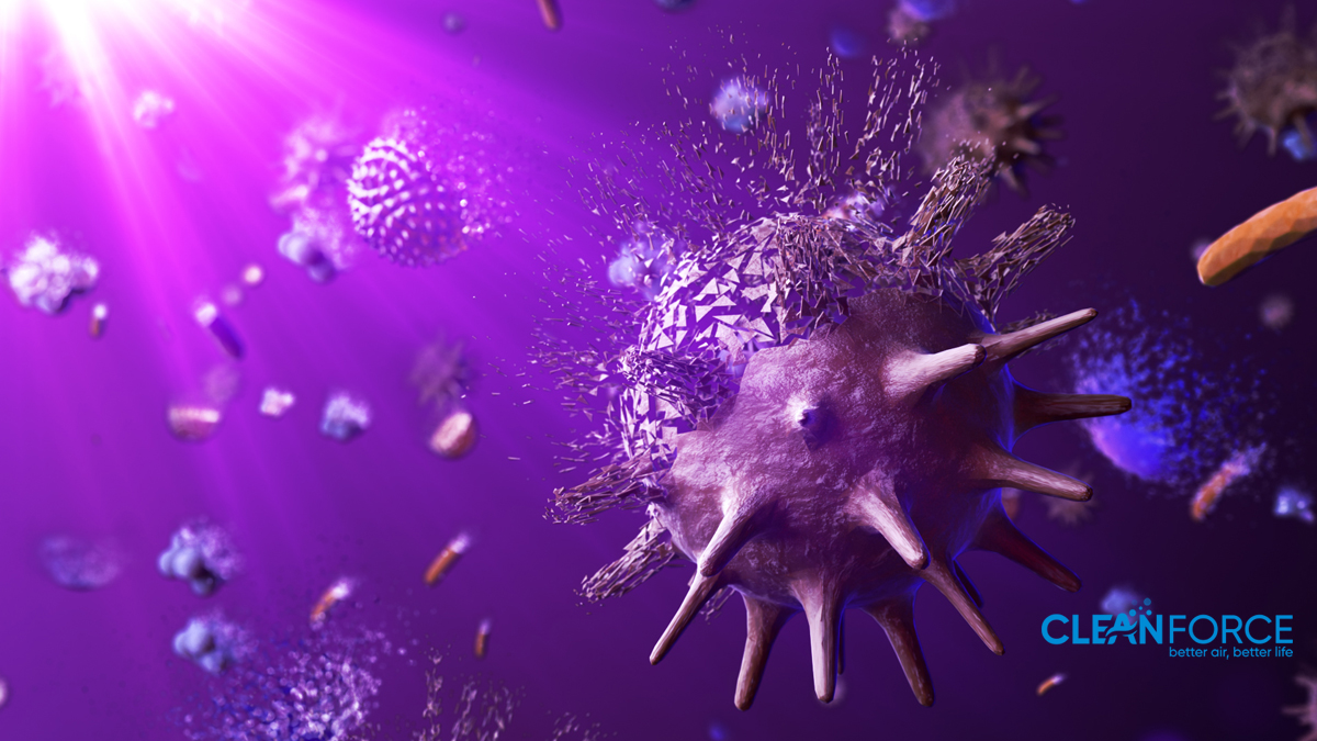 空气净化器亚马逊,空气净化器美国