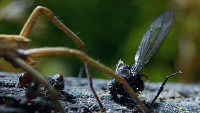 原来它们也有“性丑闻”，这片看完让我大开眼界