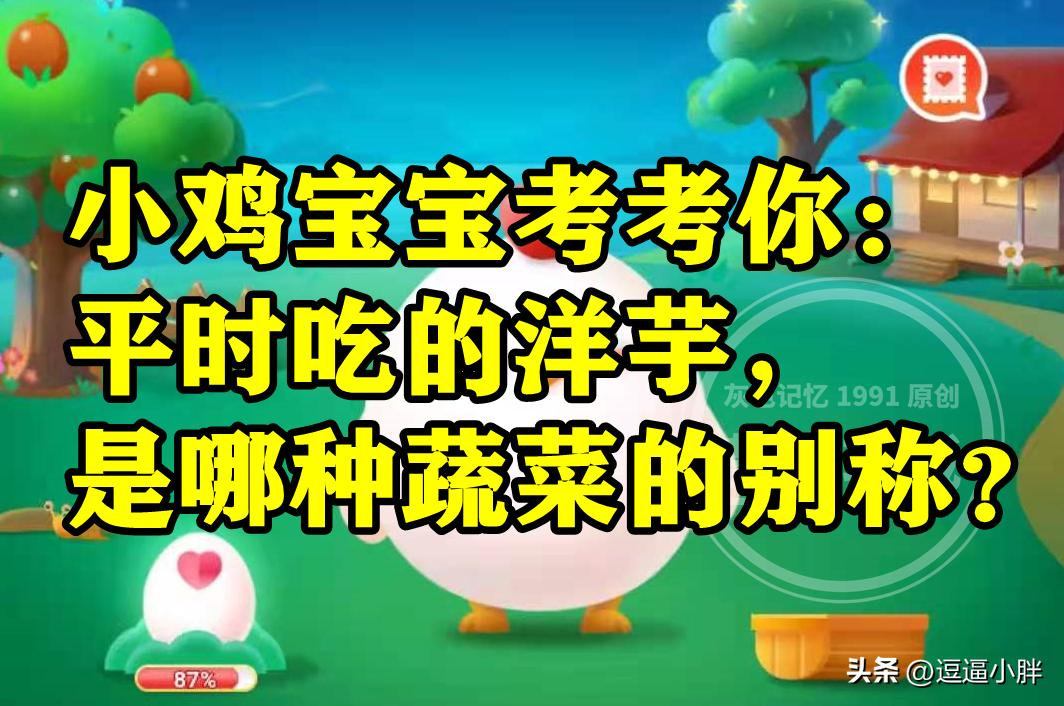 洋芋是哪种蔬菜的别称,平常吃的洋芋是土豆还是芋头