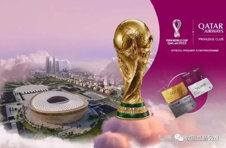 人生就是一届又一届的世界杯感悟,世界杯的感悟作文