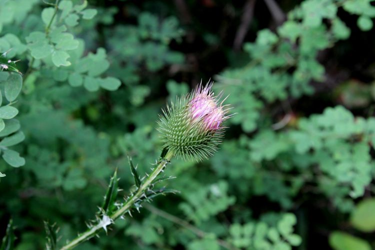 山东青州黄花溪景区图片,山东九寨沟黄花溪