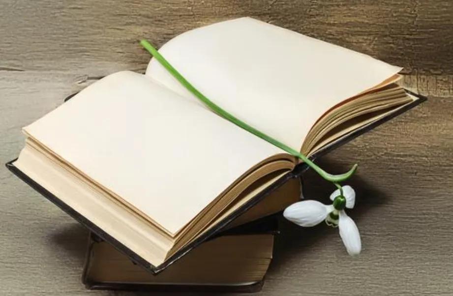 2021年度书单最值得读的11本书,2023年全球书单推荐排行榜