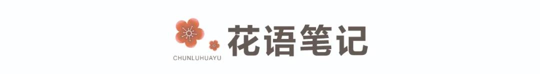 从小学生“蛋”被踢伤切除，谈男生*丸睾**的保护