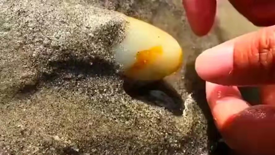 直播间买玉被坑,直播间和田玉陷阱