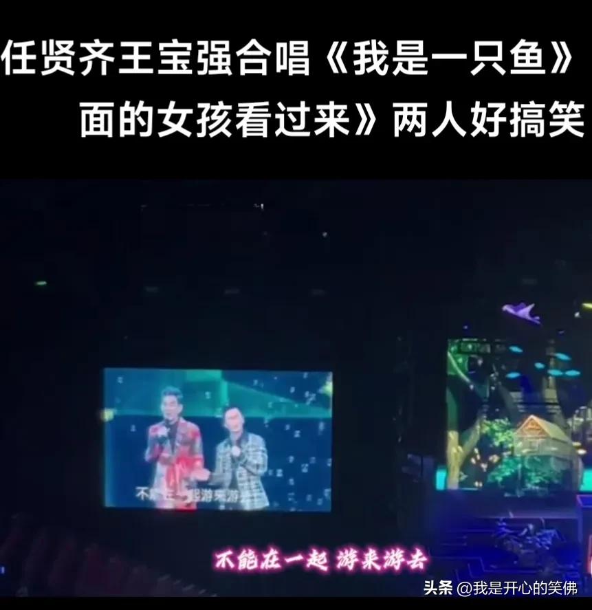 任贤齐王宝强合唱,我是一只鱼任贤齐的歌曲