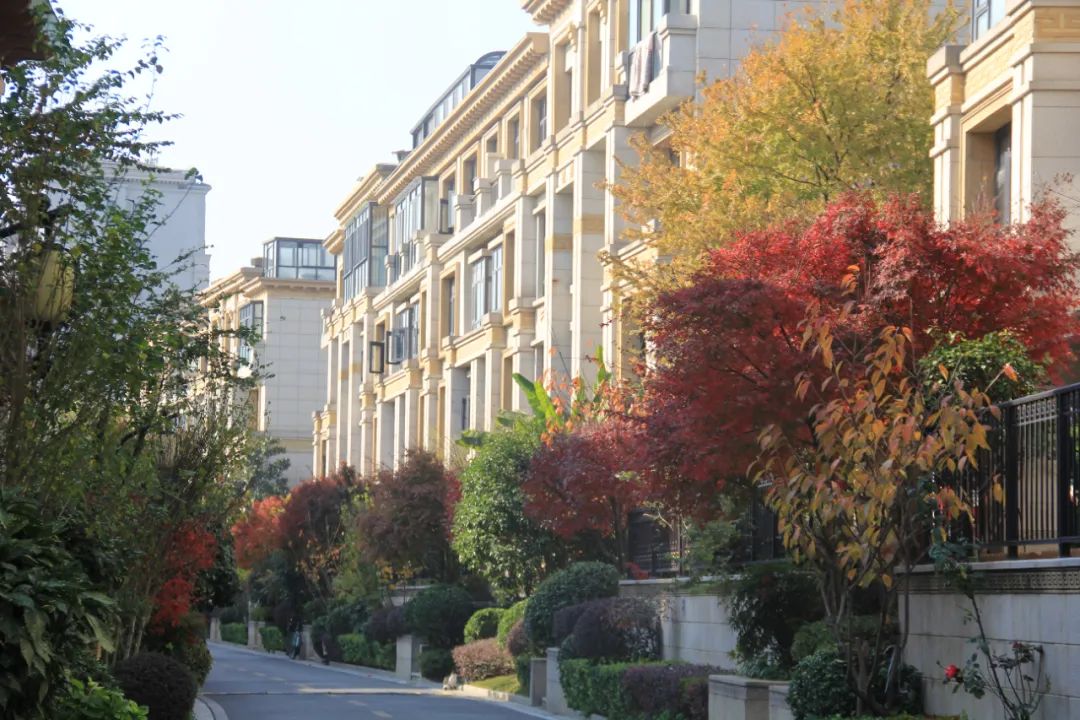 金科王府物业服务怎么样,金科王府小区品质