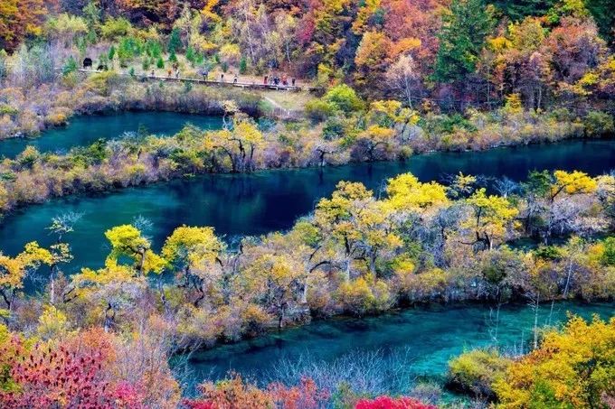 你没见过的雪后九寨沟,你见过雪景吗