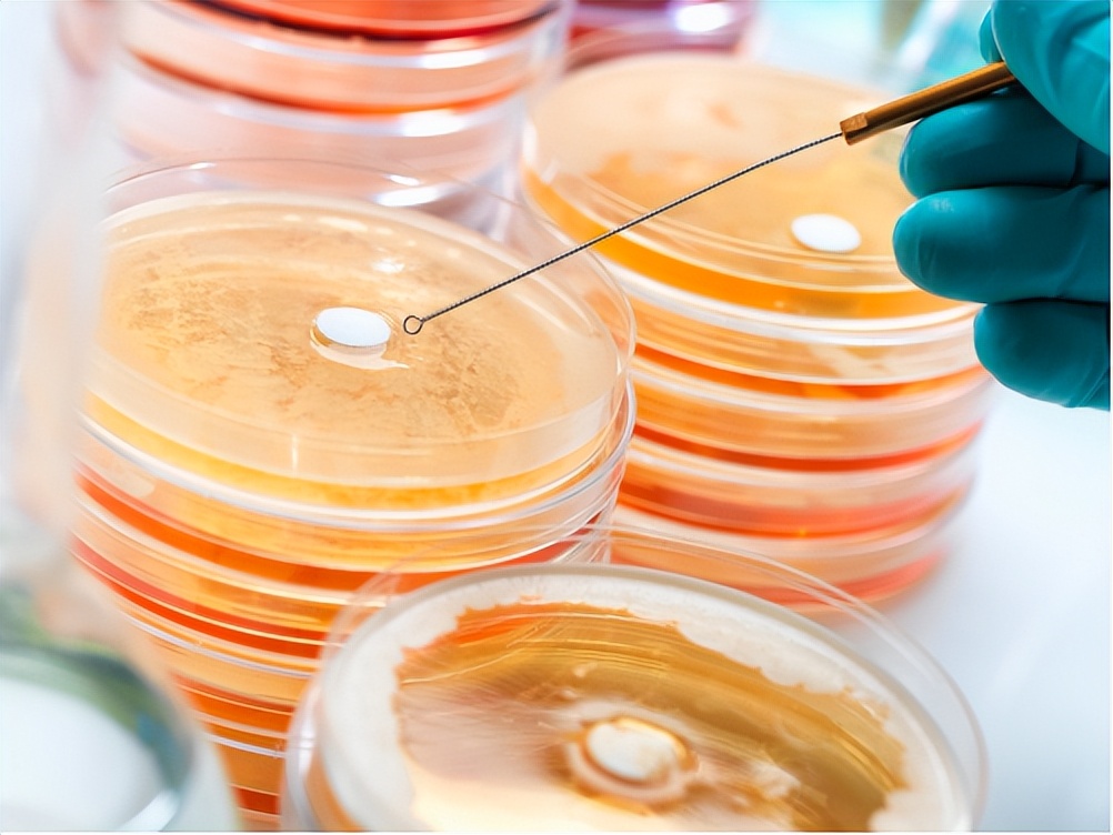 2023国际生物发酵产品与技术,世界首创生物发酵技术