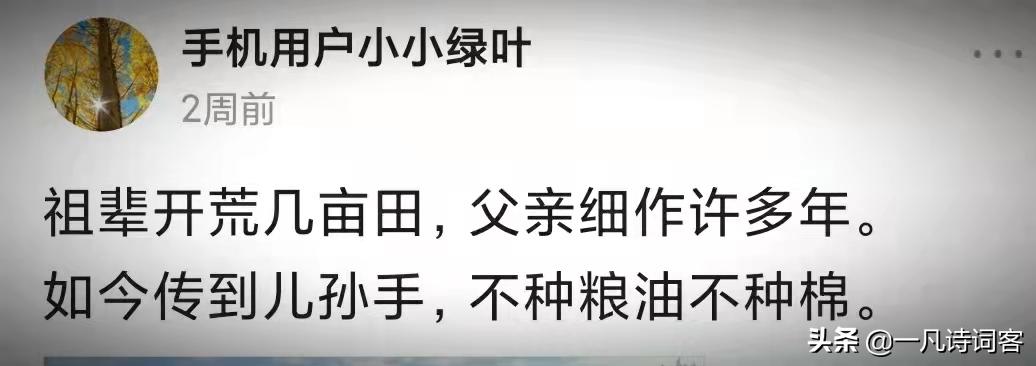 点评一首开启你写诗智慧大门的绝句，写诗如此简单？