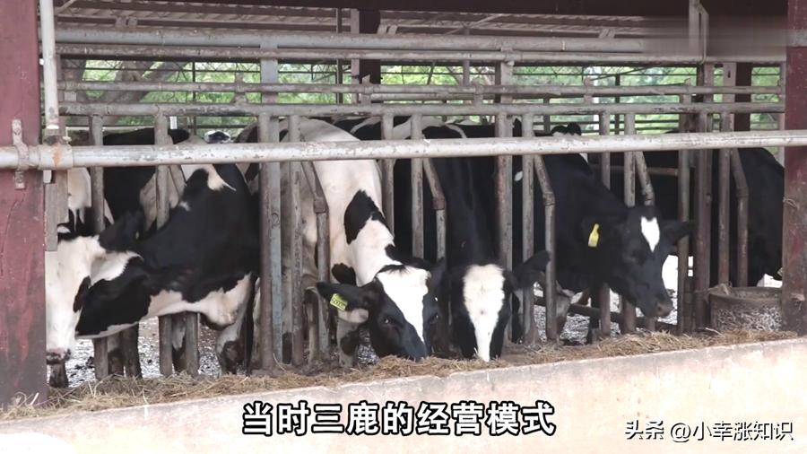 三聚氰胺后遗症的孩子,三聚氰胺现在的孩子