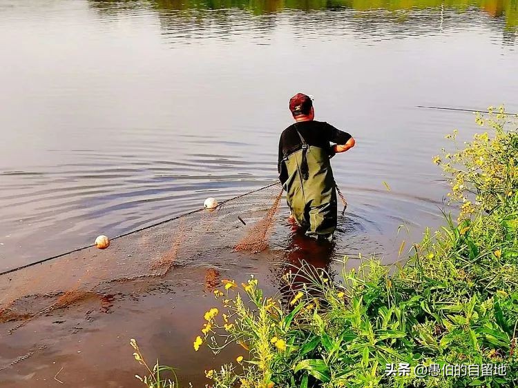 农村创业的真实经历,创业失败回农村老家的真实生活