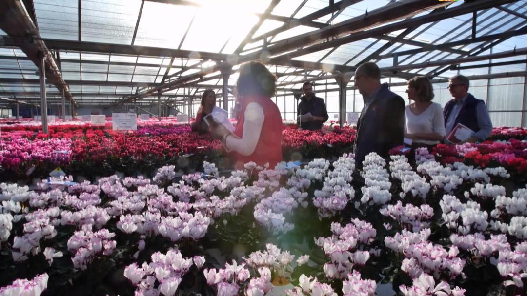 娉曞浗鑾幈灏斾粰瀹㈡潵鍝佺,鑾幈灏斾粰瀹㈡潵