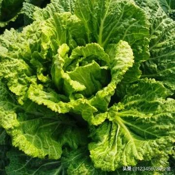 查人的信息可以找什么平台,在哪里可以合法查信息