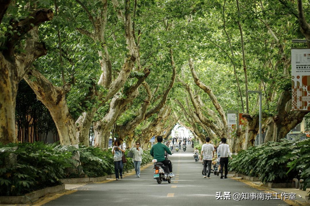 南京艺术学院520,南京艺术学院爱上你