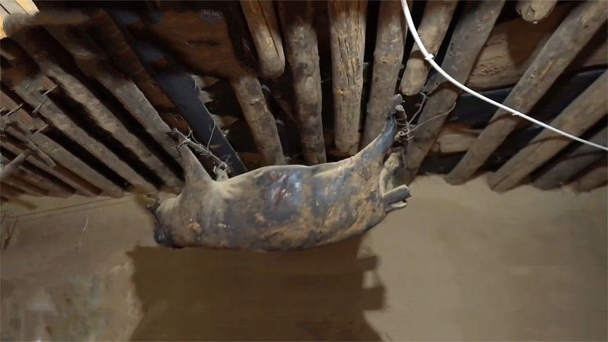 四川臭猪肉悬挂房梁30年,四川臭猪肉对人有什么危害