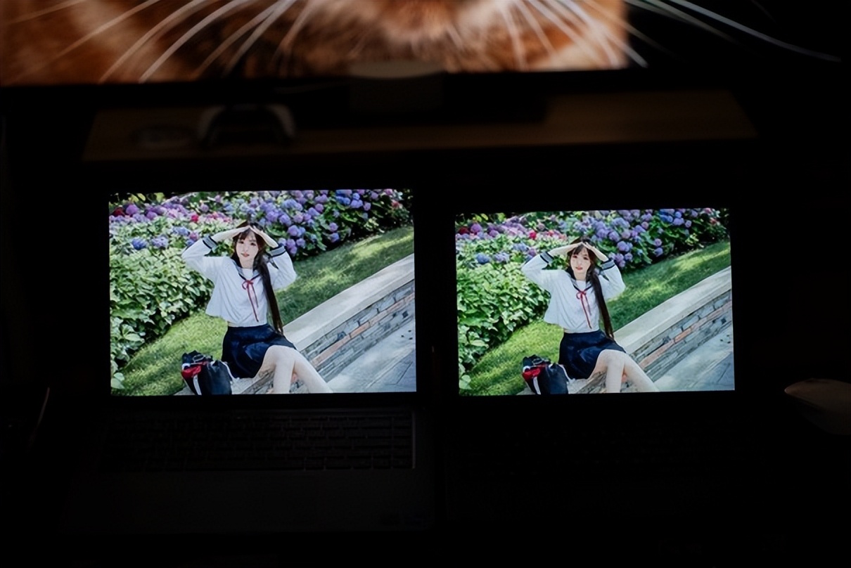 小米平板6max14深度评测,小米平板6max14英寸测评