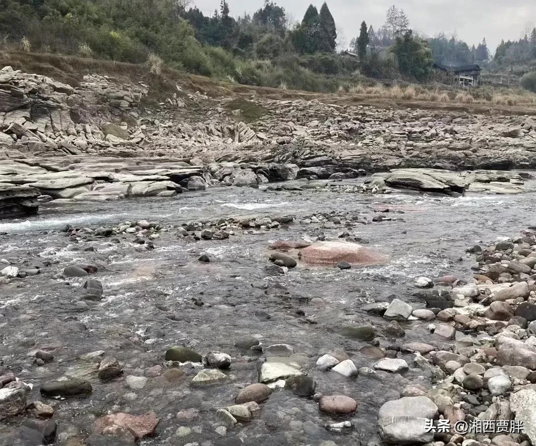 一个39岁男人的自述:第一次听见姐姐哭泣,我决定要帮助姐姐。