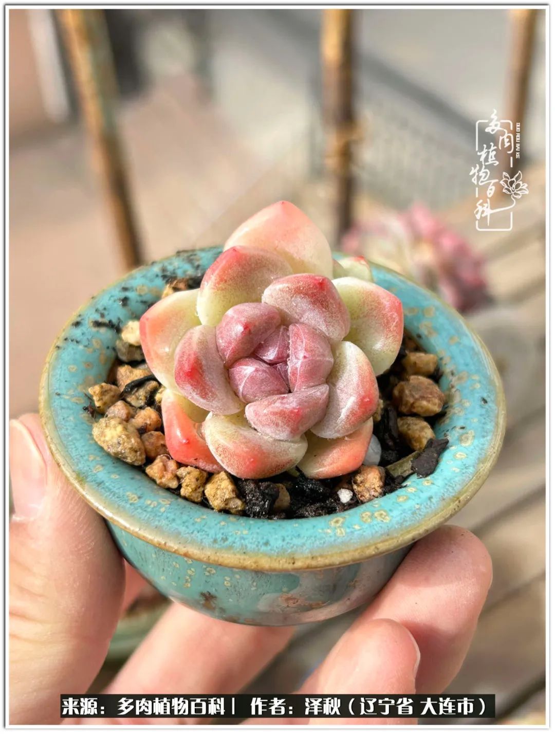 四季轮回之秋天,四季轮回之冬季