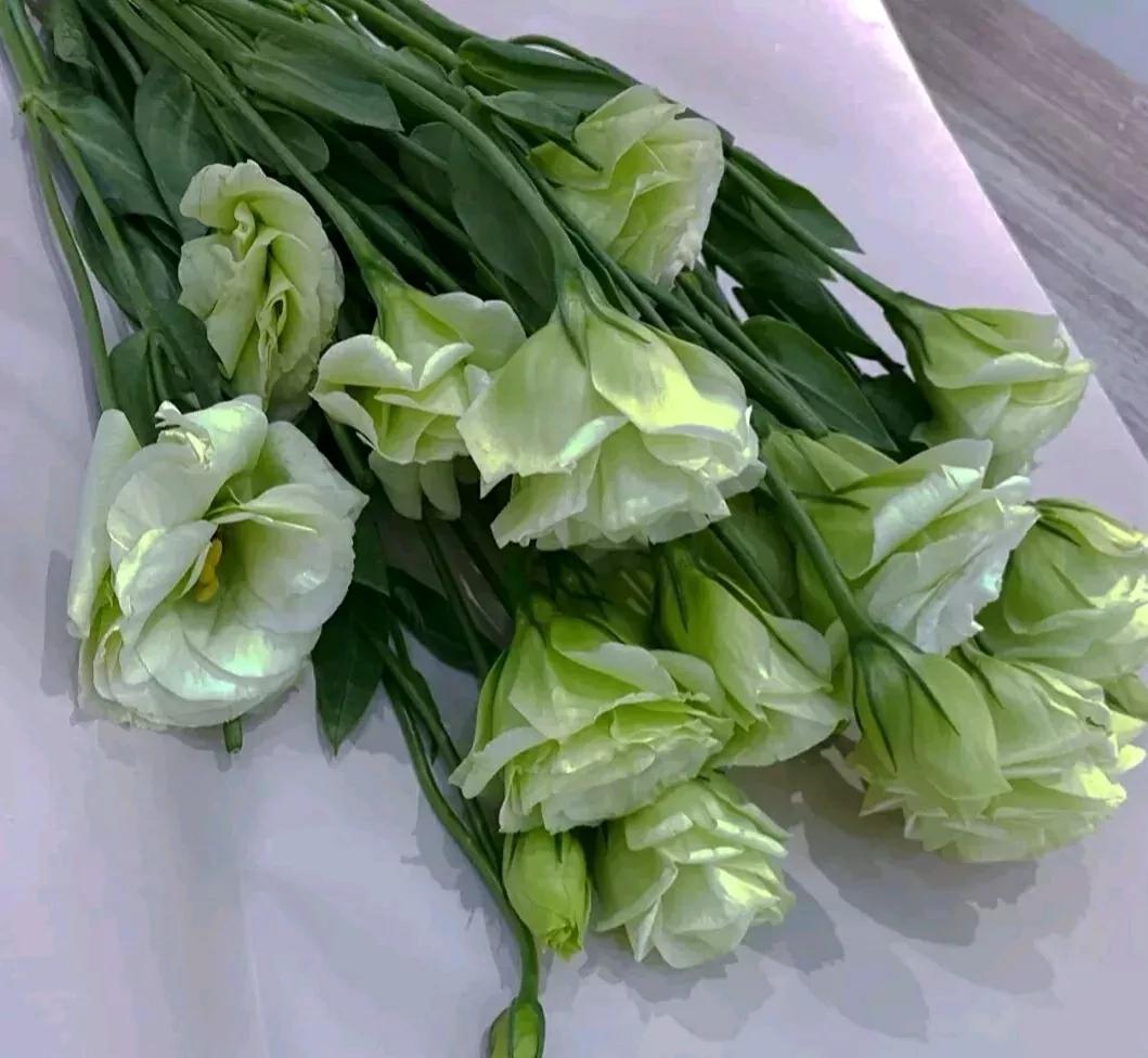 爱情文案浪漫暖心高级文案,建筑专业的浪漫文案