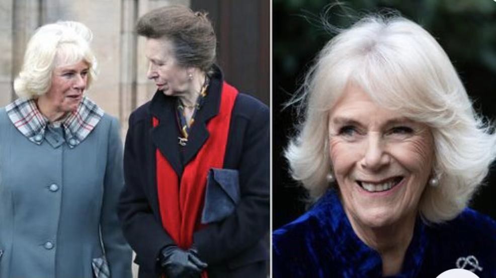 安妮公主的屈膝礼,安妮公主向戴安娜行屈膝礼