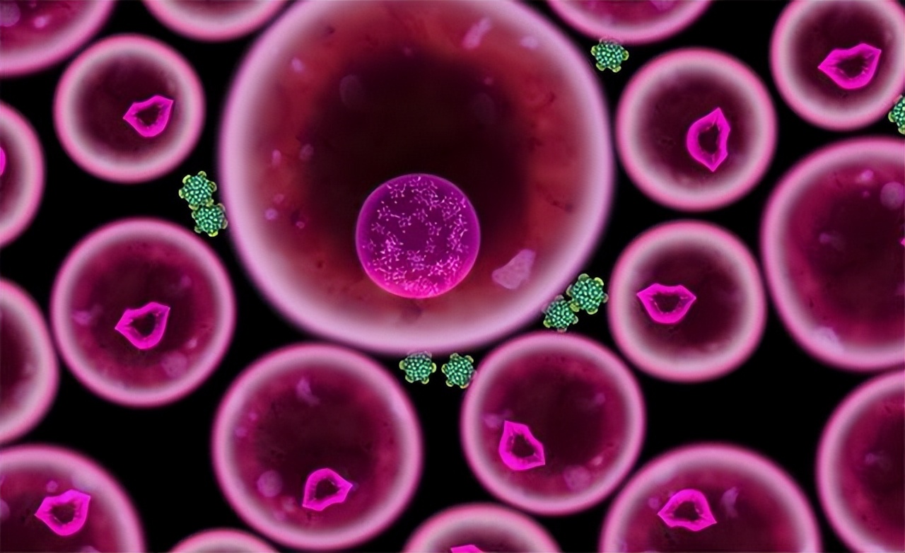 八种疾病传播途径,八种性传播疾病及病原体