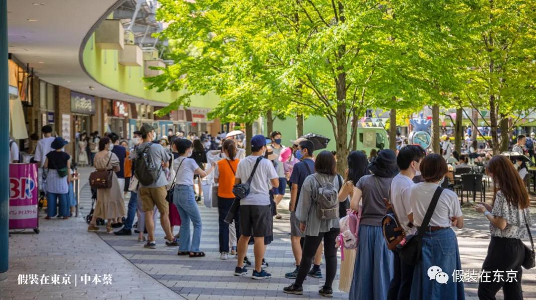 365张照片回顾,365张相片