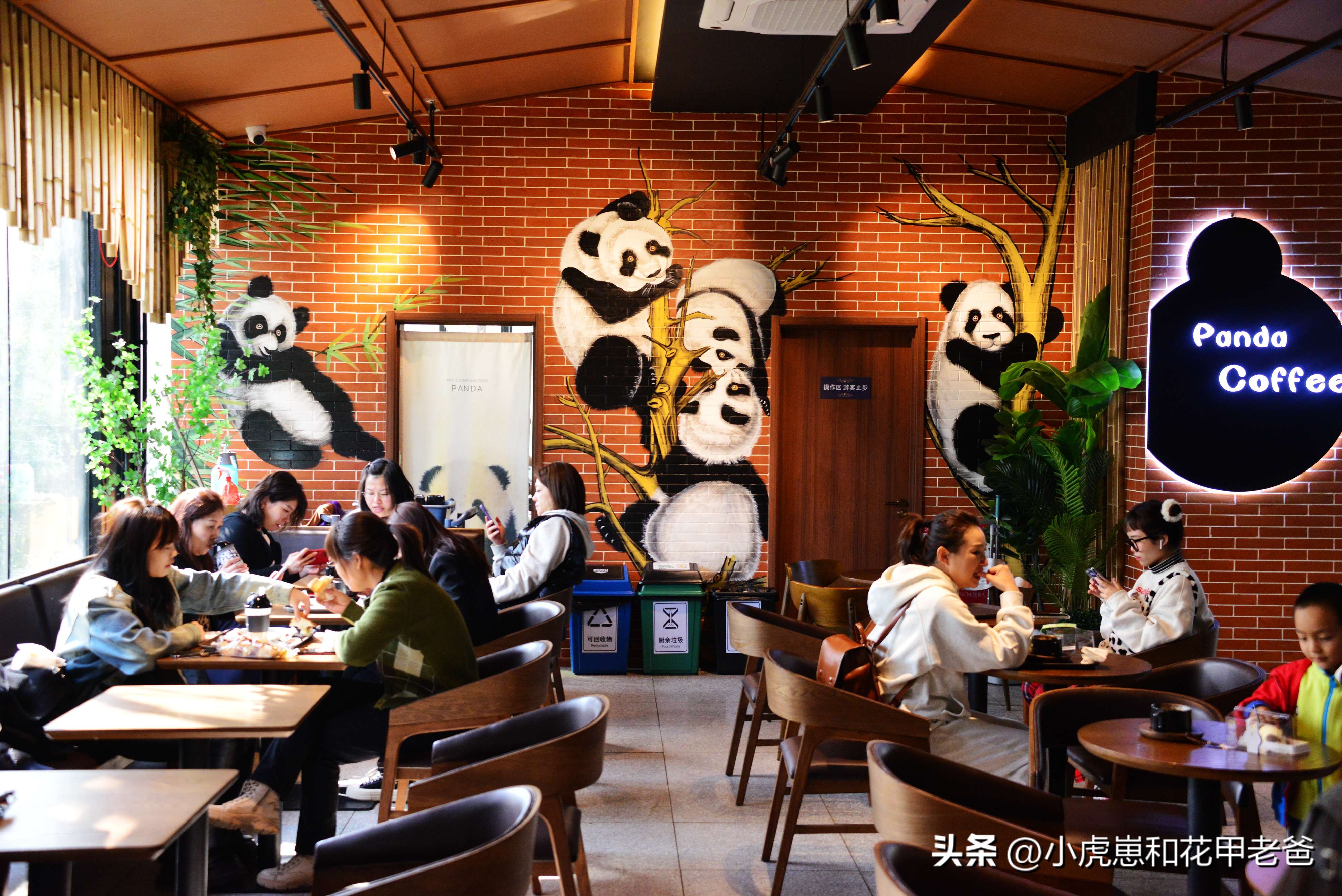 北京大熊猫动物园熊猫主题咖啡馆,北京动物园哪个餐厅可以看大熊猫