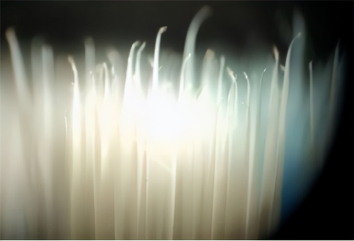 无振感电动牙刷,飞利浦2491电动牙刷测评