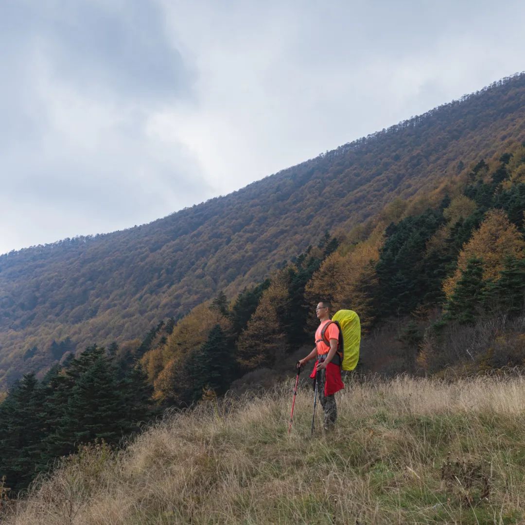 太白山是陕西最高点吗,秦岭最高峰太白山