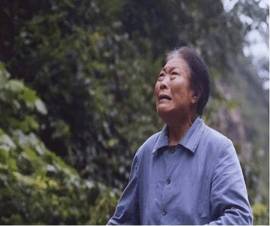 1988年，一江西农妇进京后说自己是陈毅的妻子，她是谁？