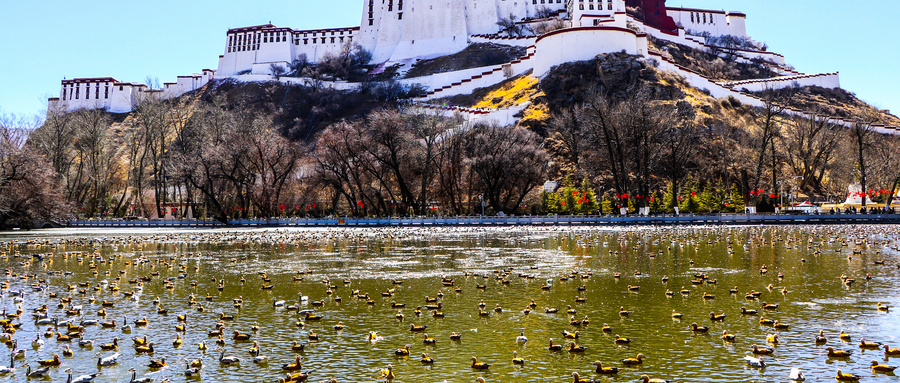 1月旅游最适合去哪里,1月现在去哪里旅游最适合