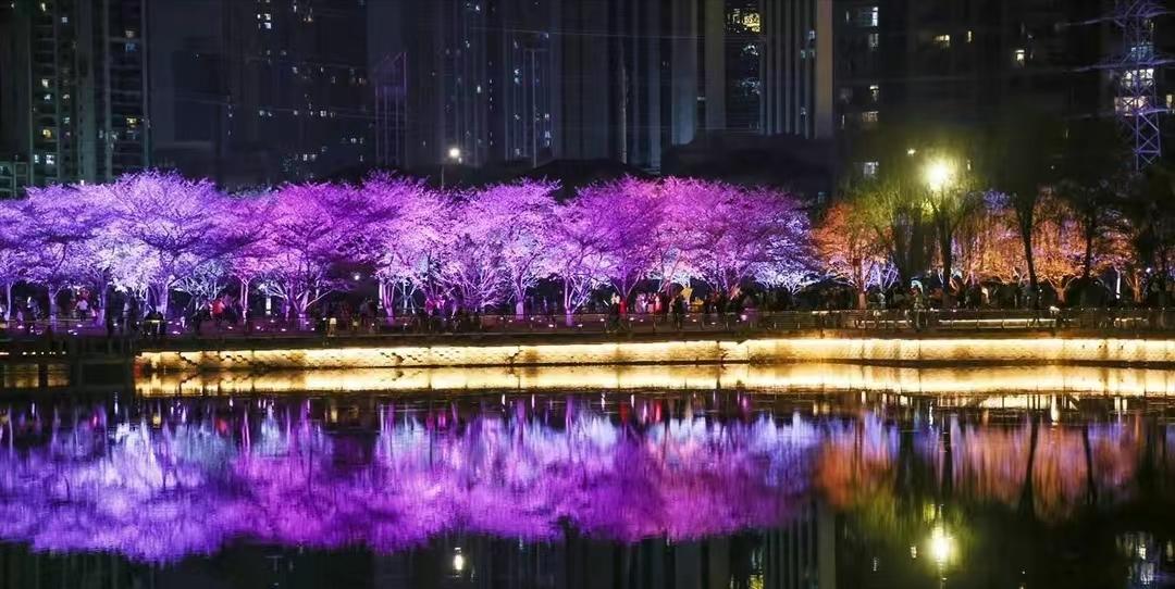 武汉老油条,武汉老油条烧烤