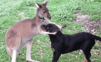 睡个好觉挣点小钱,哄睡师一小时收费可达400元