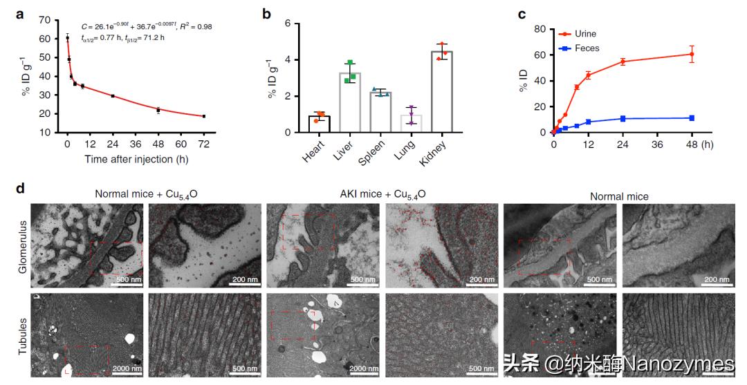 Nat.Commun.|超小铜基纳米酶清除活性氧及缓解炎症相关疾病