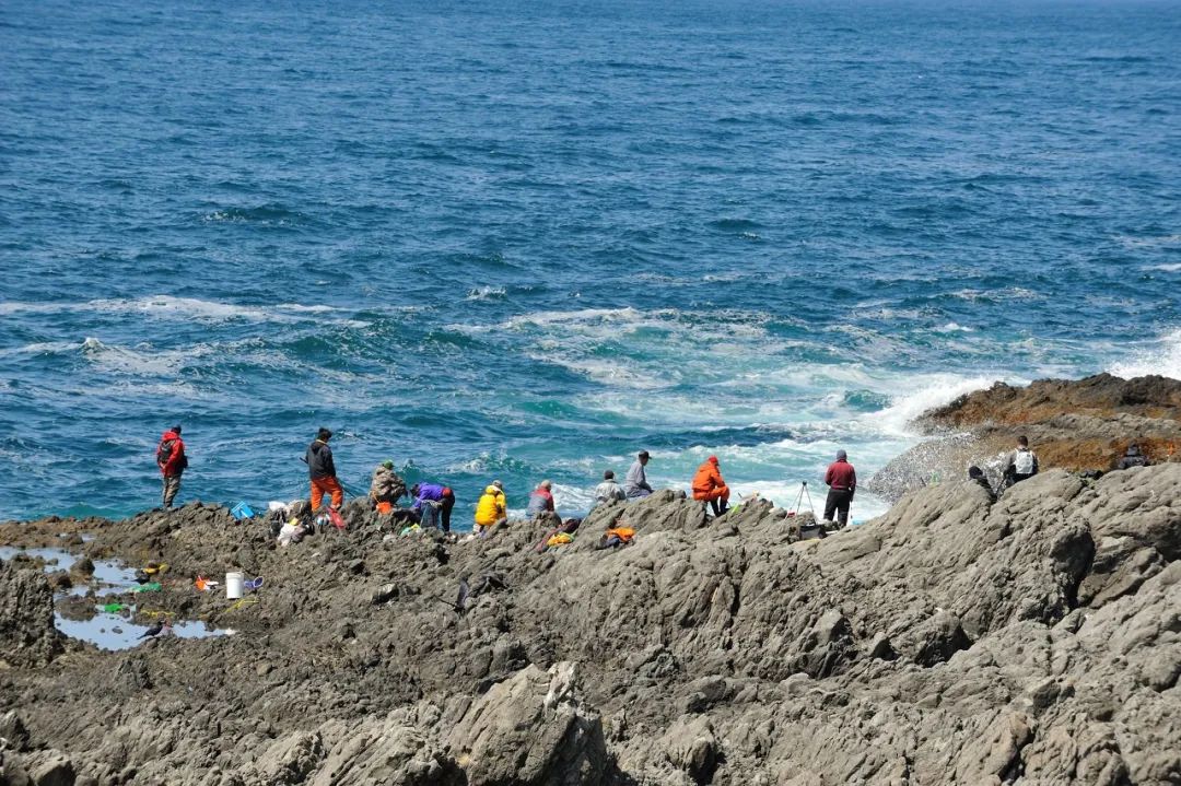 海美、小吃巨好吃！这个神还原游戏世界的小城，不该这样被埋没！