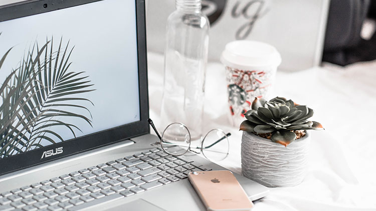 直接取词翻译软件哪款好用,快速取词翻译